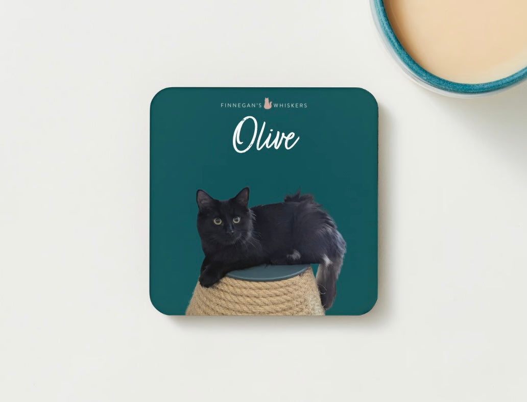 Coaster - Olive