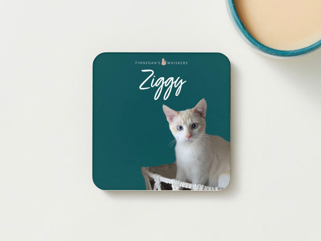 Coaster - Ziggy