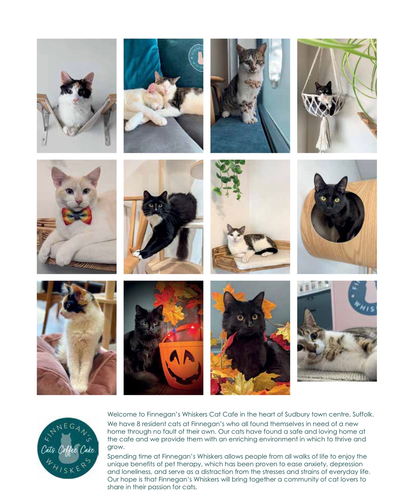 2025 Finnegan's Whiskers Calendar