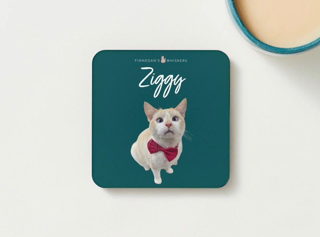 Coaster - Ziggy