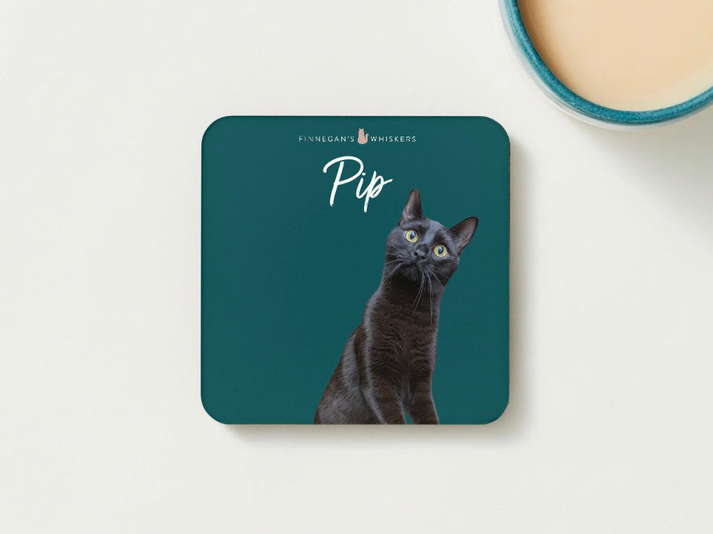 Coaster - Pip