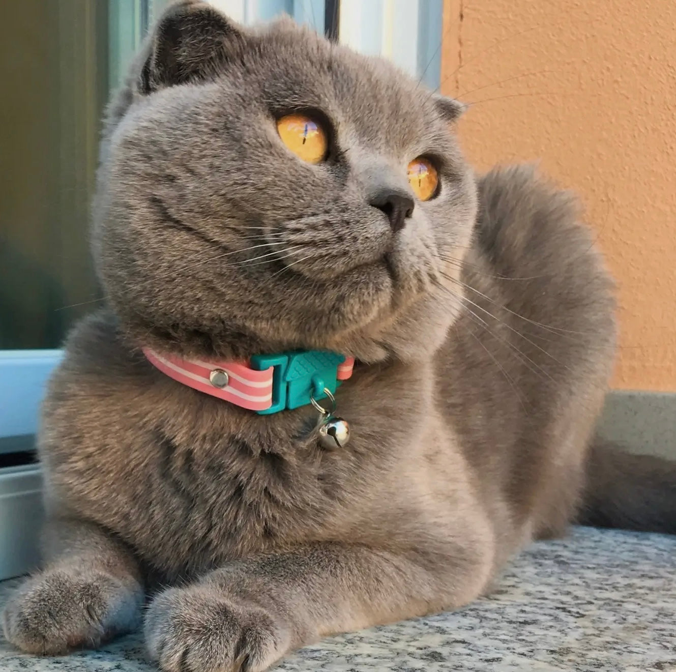 Kittyrama Collar - Bermuda