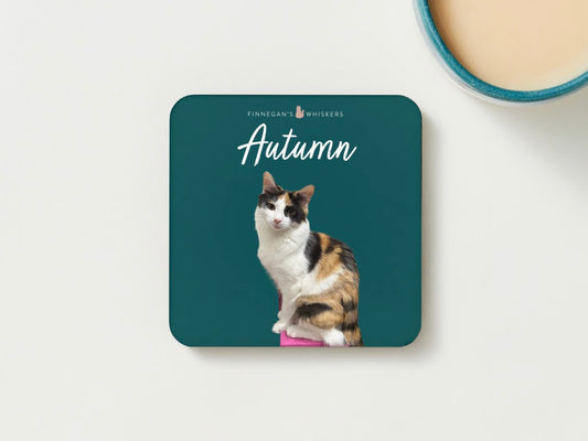 Coaster - Autumn