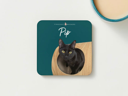 Coaster - Pip